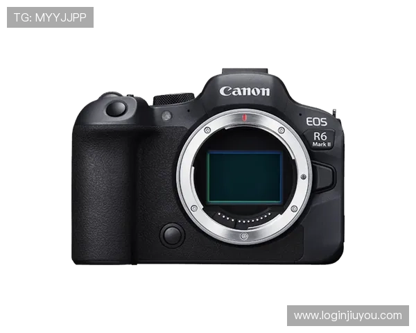 kok电竞体育真人赛事全攻略助你轻松掌握最新比赛动态与精彩瞬间