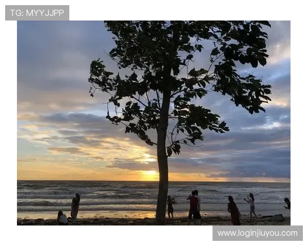 沙巴真人在线娱乐体验指南，提升您的游戏技巧与获胜概率